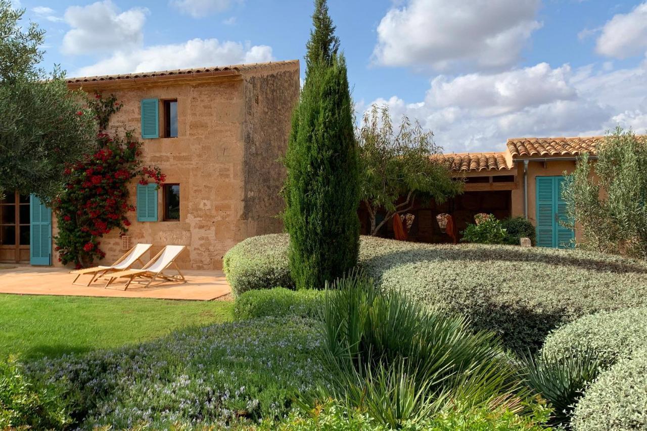 Sitja Ses Salines (Mallorca)